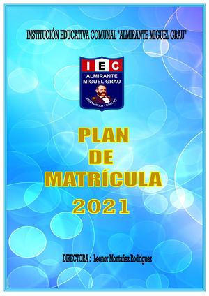 Plan De Matricula 2021