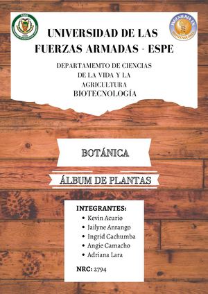 GRUPO8_ÁlbumPlantasMaderables_NRC2794_202051