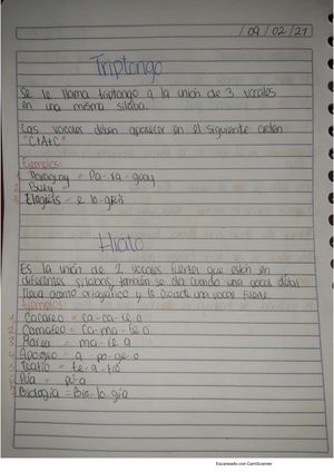 Apuntes, Ejercicios Y Organizador Gráfico Del Triptongo E Hiato 1082