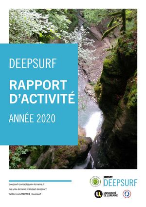 Deepsurf Rapport Activité 2020