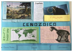Cenozoico