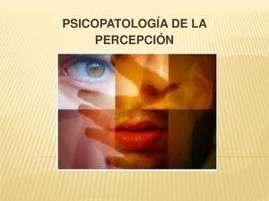 Clase 5 Semiología Tema Psicopatología De La Percepción