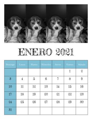 Calendario 12 Pags