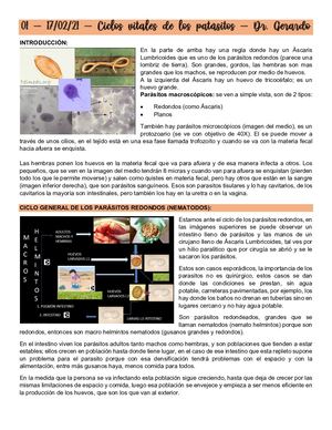 Parásitos Transcrip Unidos