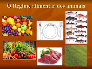Classificação de Animais: Regime Alimentar e cadeias alimentares