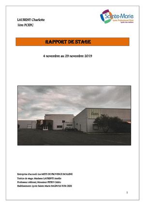 Rapport De Stage Les Mets De Provence