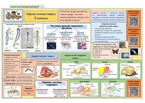 Нервова система тварин