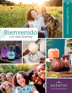 Guia de Consultor