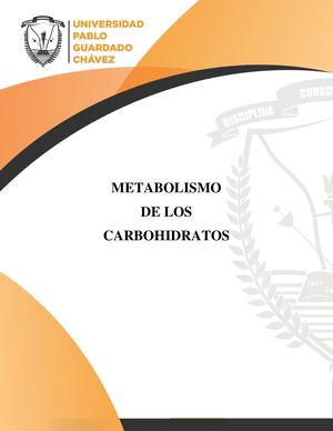 Unidad 01 Metabolismo de los Carbohidratos