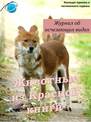 Животные из Красной книги