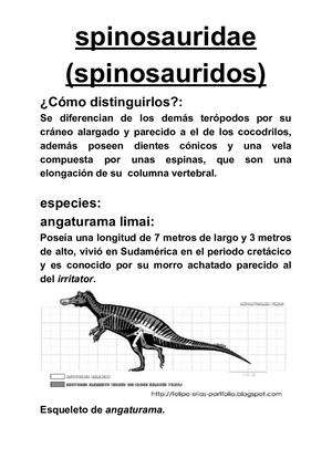 Spinosauridos