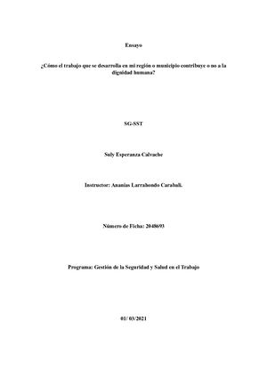 Ensayo Sobre Como Contribuye El Trabajo En Mi Region