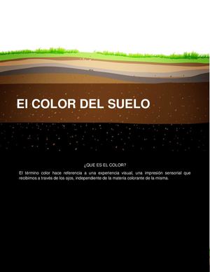 Color Del Suelo