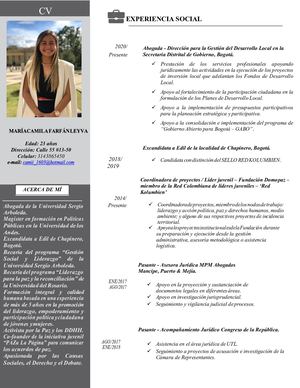 Cv Camila Farfán 2021