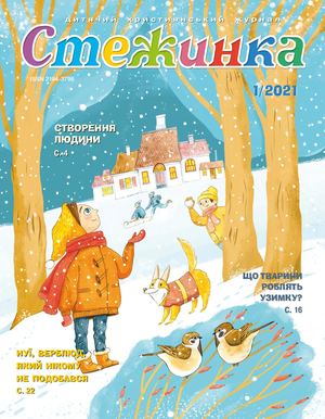 Стежинка  2021.1