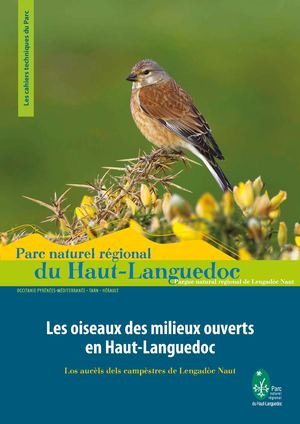 Cahier technique "Les oiseaux des milieux ouverts en Haut-Languedoc"