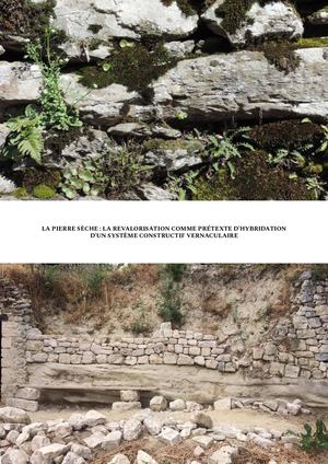 Mémoire Lucie Sacchetto