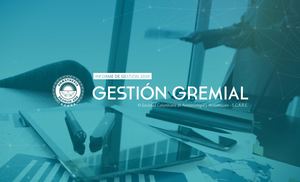 Versión Final Informe Gremial 11febrero Uv