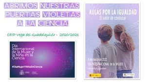 Presentacion Puertas Violetas