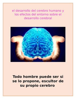 El Cerebro Humano