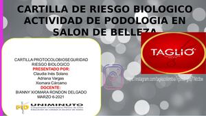 Cartilla De Riesgo Biologico