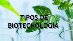 Tipos De Biotecnología Revista