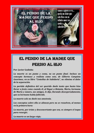 El Pedido De La Madre Que Perdio Al Hijo Variados Autores