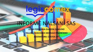 Informe Nalsani Sas Taller Modulo Financiero