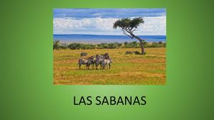 Biomas Las Sabanas 2