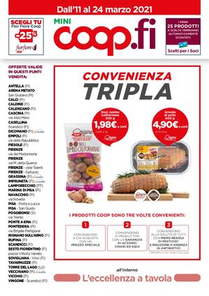 Depliant Coop.fi Mini 6