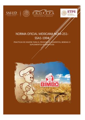 Manual N0m 251 Ssa1 1994