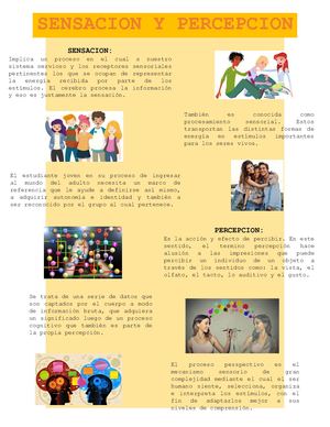 Sensacion Y Percepcion Infografia