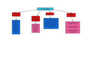 Mapa Conceptual Sexualidad