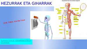 Hezurrak Eta Giharrak????????