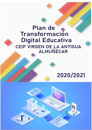 Ptde Virgen De La Antigua Febrero 2020