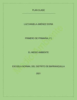 Plan Clase Luz Daniela