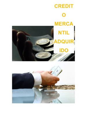 Credito Mercantil Adquirido Contabilidad