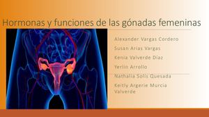 Hormonas Y Funciones De Las Gónadas Femeninas