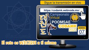 Memoria Gráfica Poomsae Codamk 2021