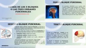 Teoría De Los 3 Bloques O Las Tres