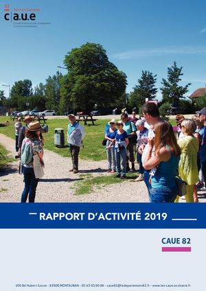 Rapport D'activité 2019 Du Caue 82