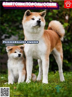 Азиатские породы собак