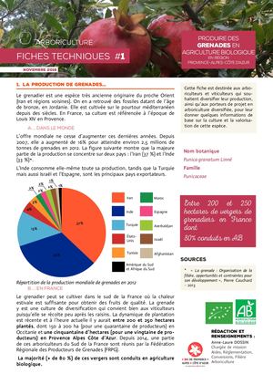 Fiche technique grenade