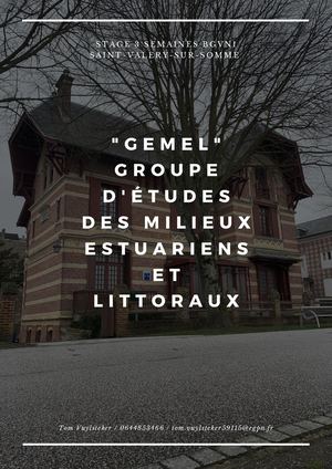 Rapport De Stage Gemel