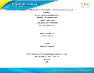 Sistemas Del Cuerpo Humano Cuadro Comparativo