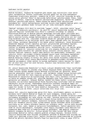 Bodrumun Tarihi Geçmişi