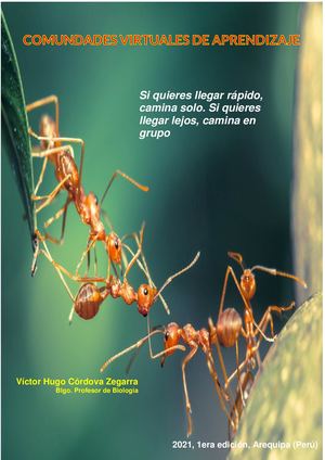 COMUNIDADES VIRTUALES DE APRENDIZAJE