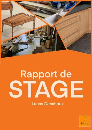 rapport de stage brenier creation