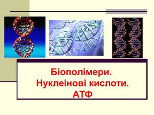 ДНК, РНК, АТФ