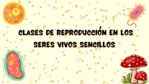 Clases De Reproducción En Los Seres Vivos Sencillos